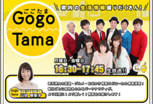 gogotama_rogo700