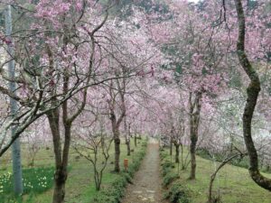 M1lng2naMSZ-9ZAIP4uXwXRtscSLUyqJ-pMiUqEObp0,o_v6-ONeqvhVXwRr8xzDgZiFGhGndiVscGF0xUzHKSs