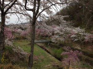 VugdU815RRuqKz_LwarvnGqQf4H2I0pxinbqw8fuAt0