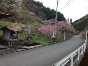 aJG6Mc4FyYj1y9fmHS9DaLE2K-Q47_Ska4A5sKyF-sQ