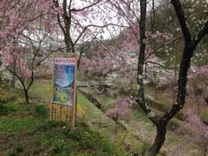 kzJ7V69myimEgtO1oiKgtOQ65ETsc4Y9uPIZQjhsjM4,sYhmdTUcaQR0Sq_BxhbPhfAODwkhLrgIjykNPm_o0kY