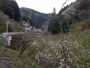 rENPD1BKtHBWEfCB5nDhtB1RHen3glkJpp7d7_-w-oY