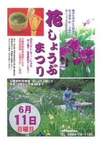 パンフレットのサムネイル